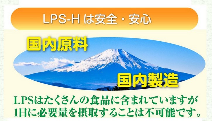 LPS-H̔TCg